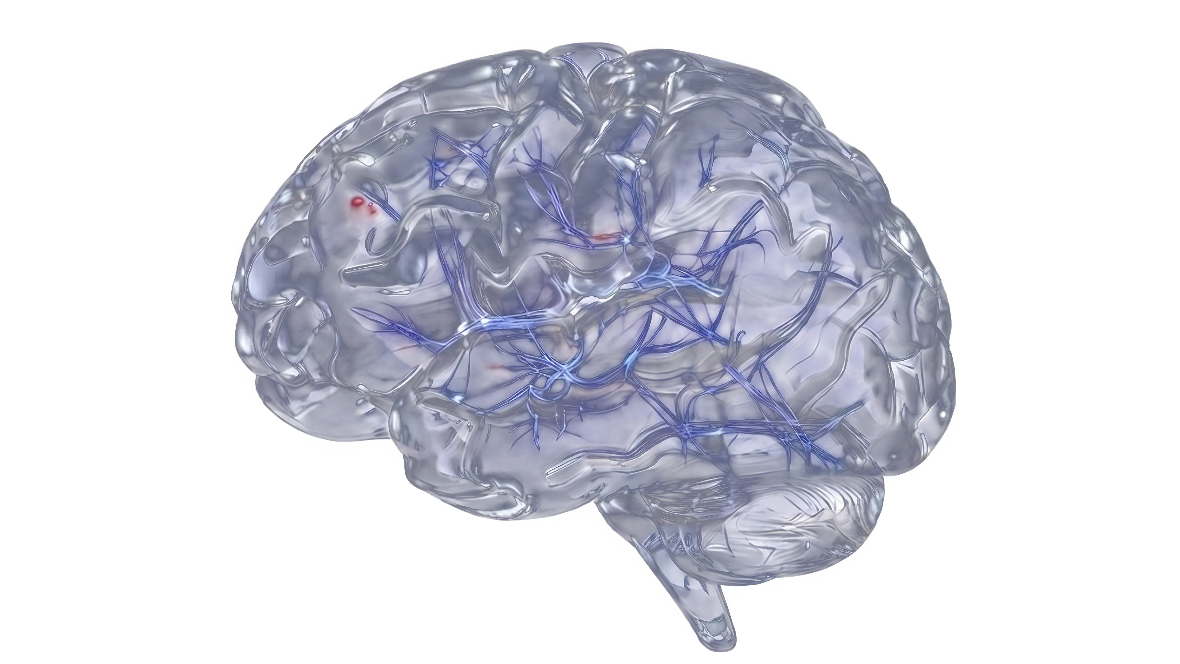 Aignosis 3D Neural Brain Model