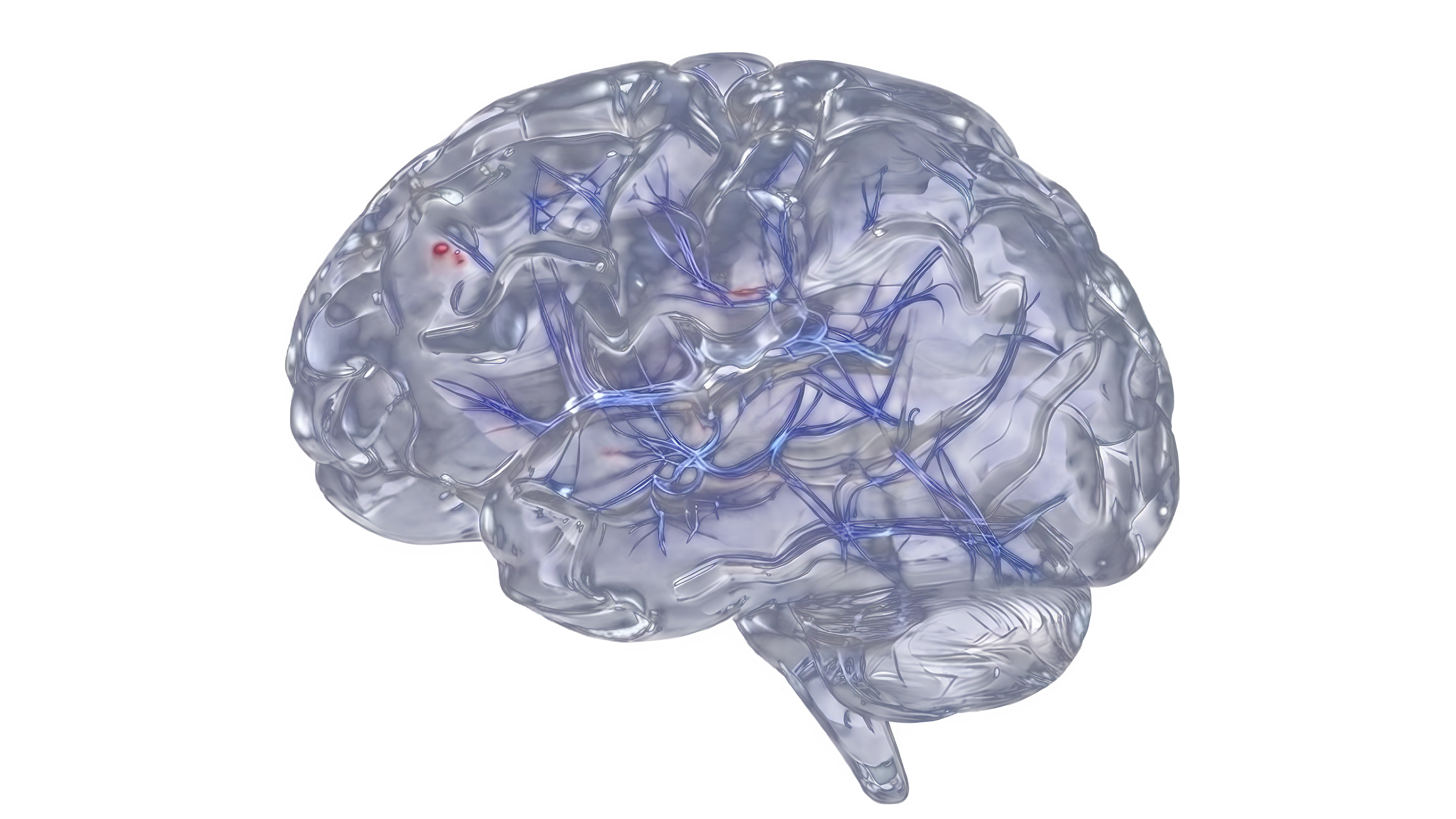 Aignosis 3D Neural Brain Model